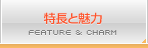 特長と魅力