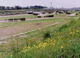 muromigawapark