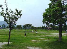 seibuathleticpark